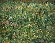 Vincent Van Gogh Patch of Grass France oil painting artist